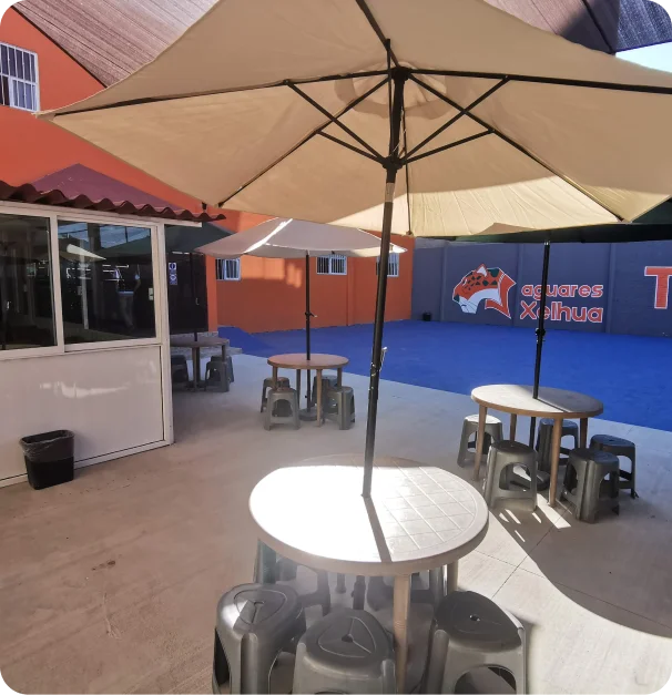 Xelhua nuestras instalaciones 1